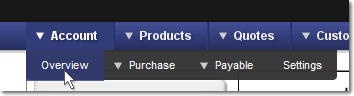 How to get to the Account  Overview Page