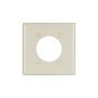 2168LAB0X - Wallplate 2G SGL Rec W/2.1563"Hole THRMST La - Eaton