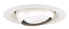 229WH - White 75R30 Eyeball - Lithonia Lighting - Acuity