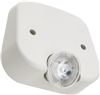 EREWTRDM24 - DBL Remote RND Emgcy Head WHT - Lithonia Lighting