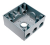 WPB342 - Weather Proof Box 2G 4 Hole 3/4 - Legrand-Pass & Seymour